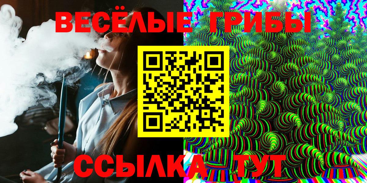 Бугульма  Галлюциногенные грибы GOLDEN TEACHER  как найти   Вход с VPN 